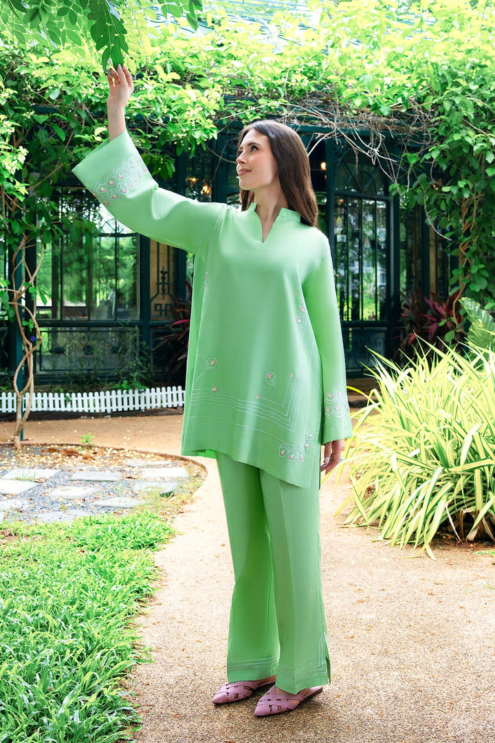 Pistachio green rayon silk 2-piece co-ord with white embroidery | Panache West, view 6